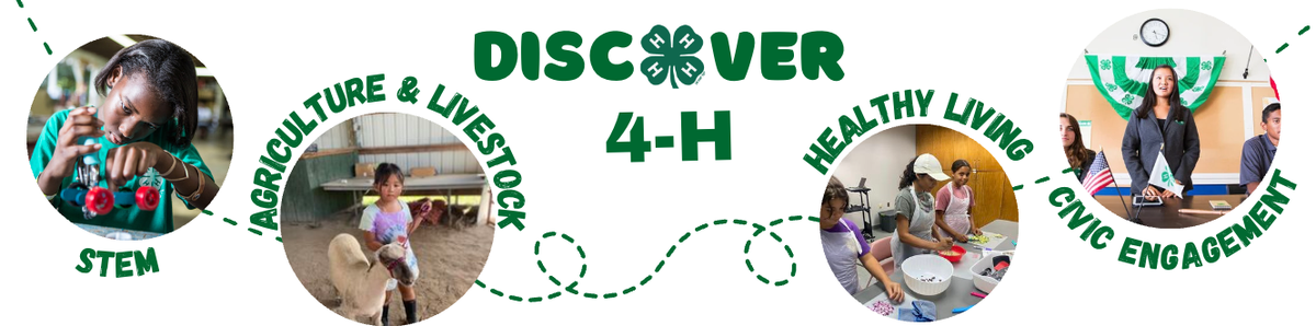 Discover 4-H