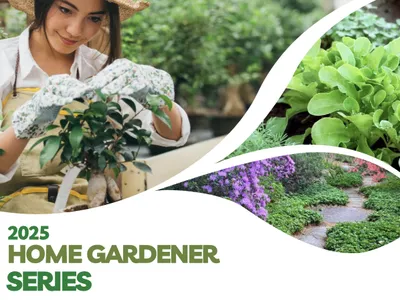 Woman potting a plant; collage of garden photos; text "2025 HOME GARDENER SERIES"