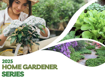 Woman potting a plant; collage of garden photos; text "2025 HOME GARDENER SERIES"