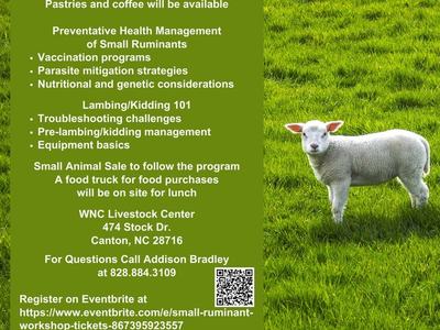 Small Ruminant Workshop Flyer