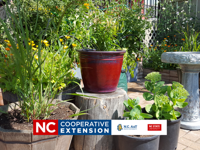 small space gardening