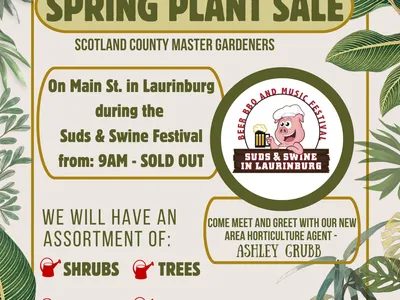 Spring Plant Sale poster: Saturday April 13, Main St Laurinburg, Suds & Swine Festival, 9AM–SOLD OUT