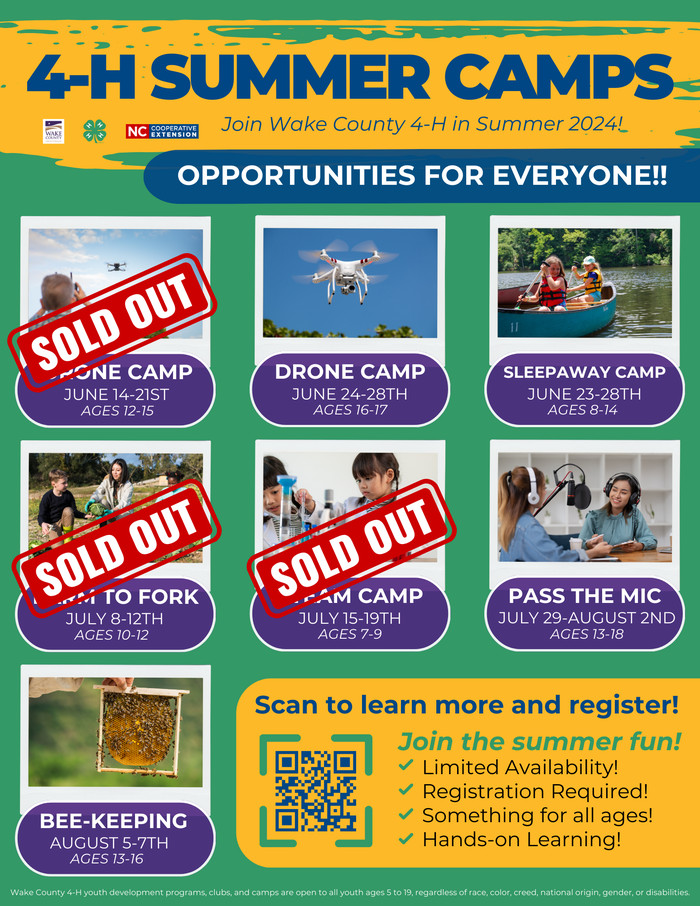 4-H SUMMER CAMPS poster listing camps, dates, ages; "OPPORTUNITIES FOR EVERYONE!!" and "SOLD OUT" labels