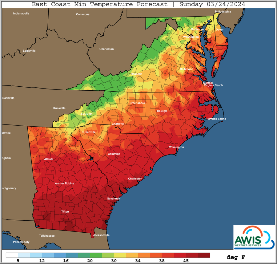 East Coast Min Temperature Forecast, Sunday 03/24/2024