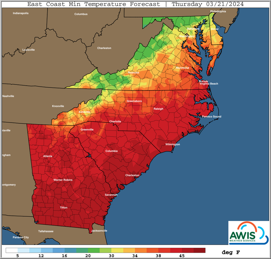 East Coast Min Temperature Forecast, Thursday 03/21/2024