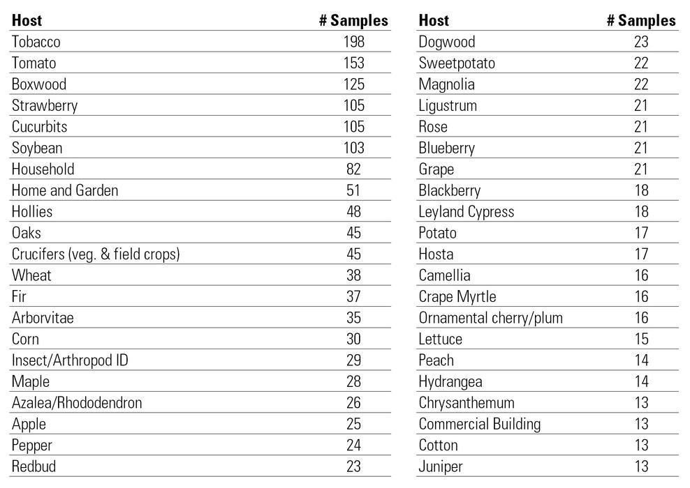 Top 42 host plants submitted: Tobacco 198, Tomato 153, Boxwood 125, Strawberry 105, Cucurbits 105, Soybean 103, Household 82, Home and Garden 51, Hollies 48, Oaks 45, Crucifers (veg. & field crops) 45, Wheat 38, Fir 37, Arborvitae 35, Corn 30, Insect/Arthropod ID 29, Maple 28, Azalea/Rhododendron 26, Apple 25, Pepper 24, Redbud 23, Dogwood 23, Sweetpotato 22, Magnolia 22, Ligustrum 21, Rose 21, Blueberry 21, Grape 21, Blackberry 18, Leyland Cypress 18, Potato 17, Hosta 17, Camellia 16, Crape Myrtle 16, Ornamental cherry/plum 16, Lettuce 15, Peach 14, Hydrangea 14, Chrysanthemum 13, Commercial Building 13, Cotton 13, Juniper 13
