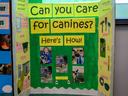 Display board titled "Can you care for canines? Here's How!" with photos of a child and dog