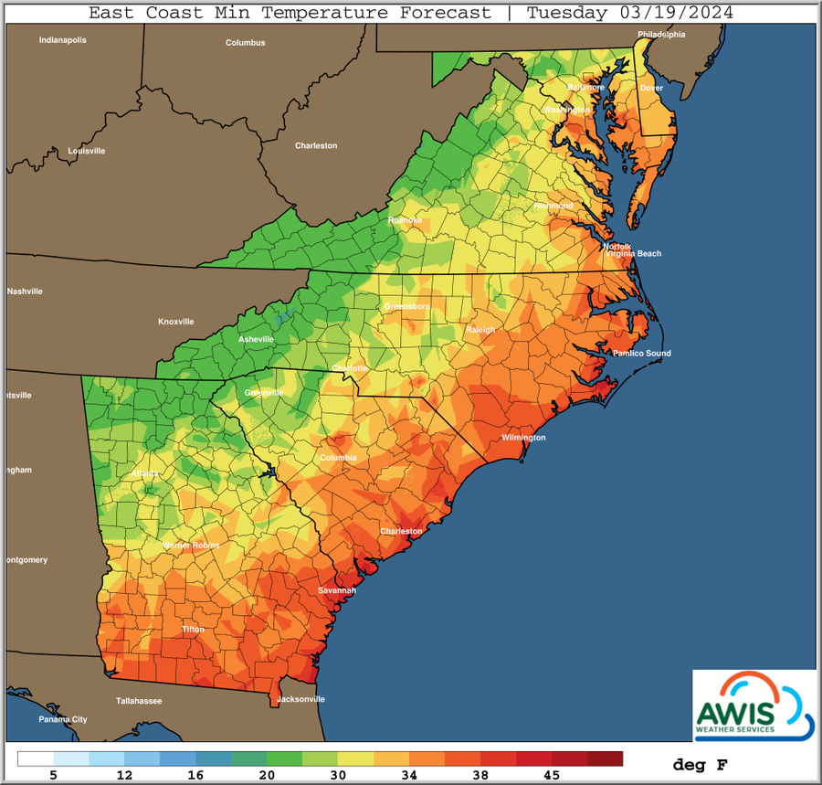East Coast Min Temperature Forecast, Tuesday 03/19/2024