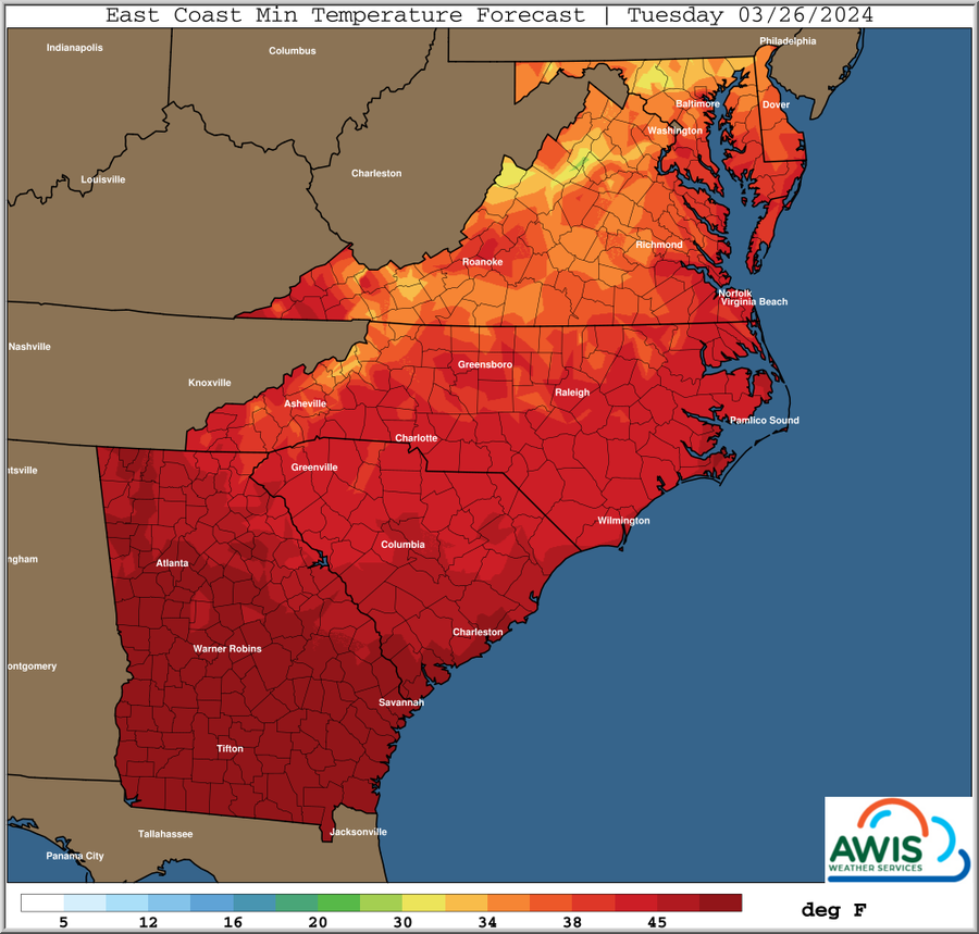 East Coast Min Temperature Forecast, Tuesday 03/26/2024