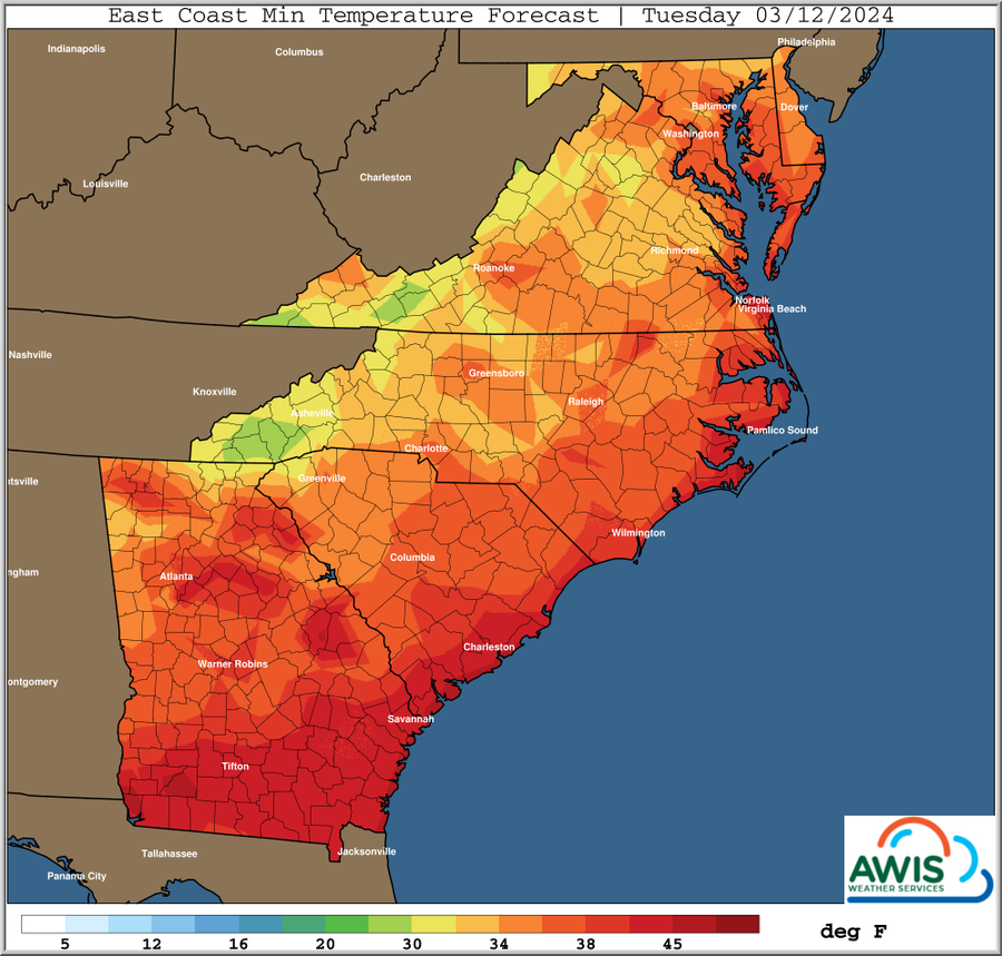 East Coast Min Temperature Forecast, Tuesday 03/12/2024