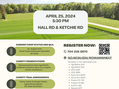 Wheat Field Day Thursday, April 25, 2024 Moore Farm (Hall Rd. & Ketchie Rd.) Mount Ulla, NC 5:30 p.m. To register, scan the QR code above or click here: go.ncsu.edu/rowanwheat