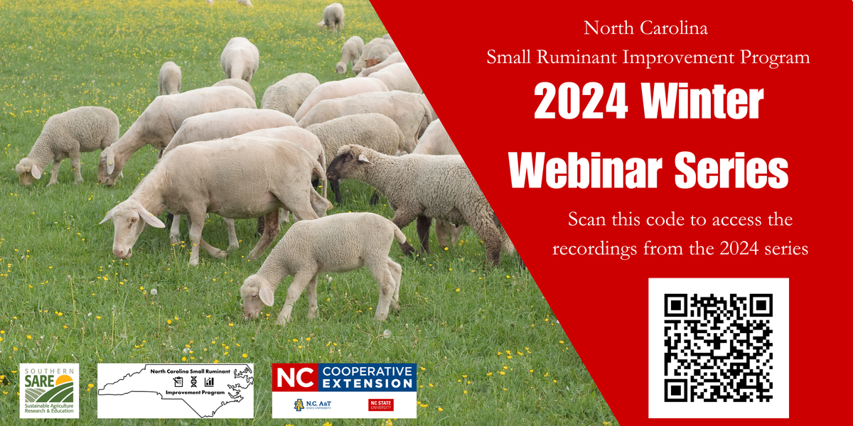 Sheep grazing in a green field with a red panel reading "2024 Winter Webinar Series" and a QR code