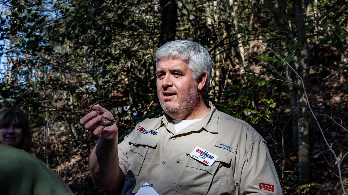 NC State Extension forestry winter tree identification Wilkes County
