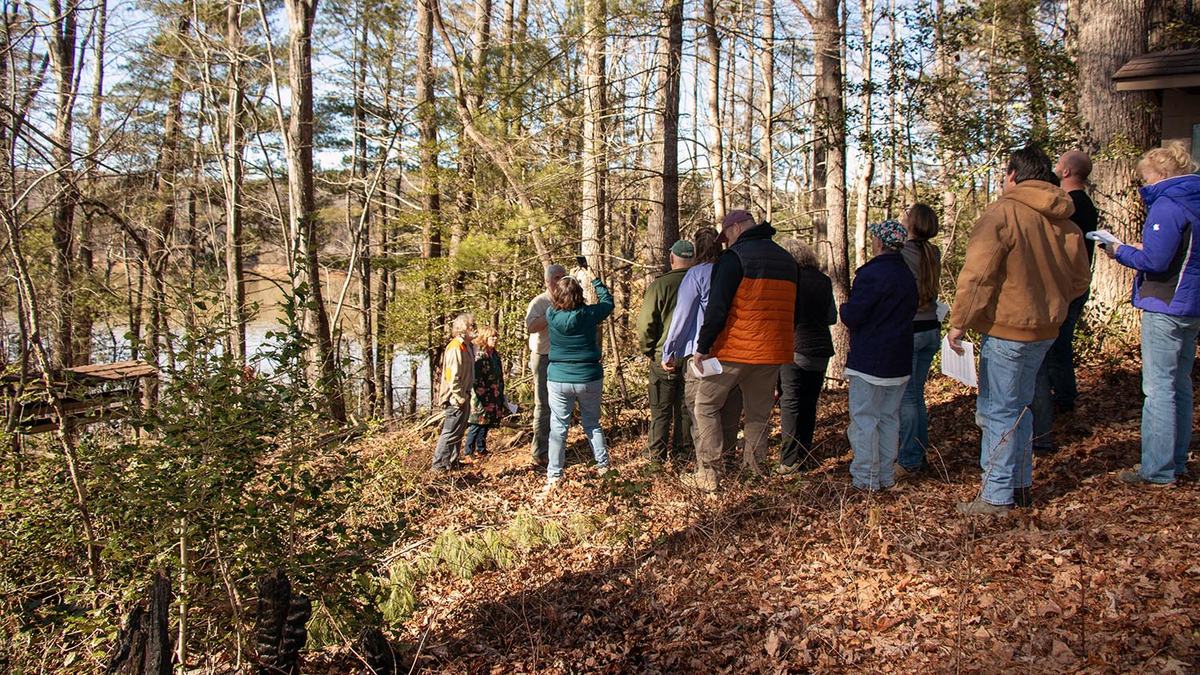 NC State Extension forestry winter tree identification Wilkes County