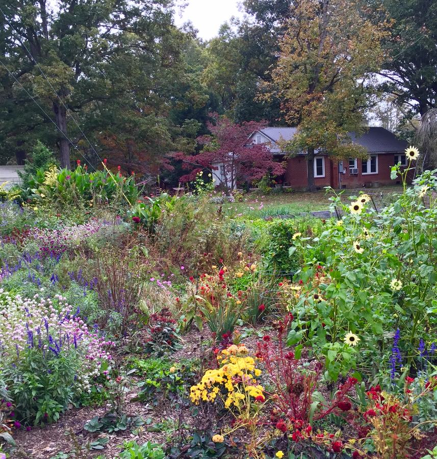 cut flower farm