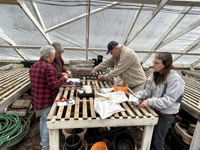 Apple Grafting Class