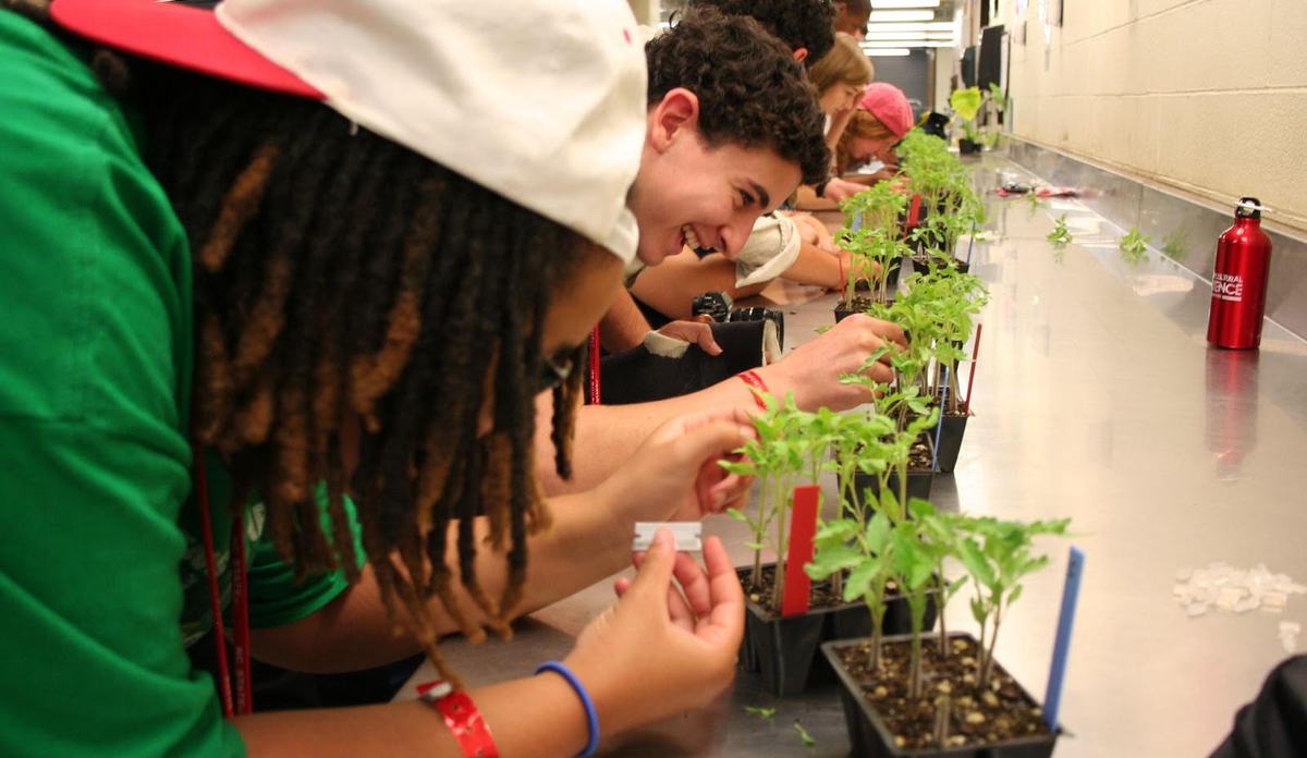 plant propagation