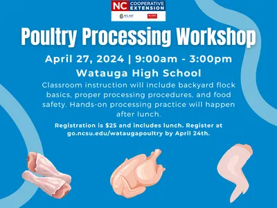 processing flyer