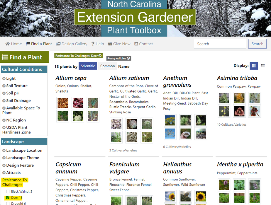 Image of the "Find a Plant" screen of plants.ces.ncsu.edu with "Resistance to Challenges" and "Deer" hilighted