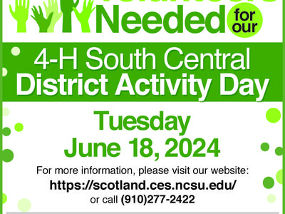 4-H SCDAD Volunteer flyer