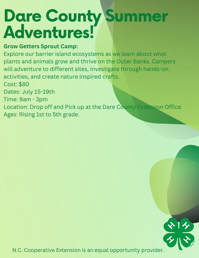 Dare County Summer Adventures