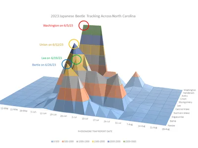 3D surface chart '2023 Japanese Beetle Tracking NC' showing pheromone trap counts by date and county.