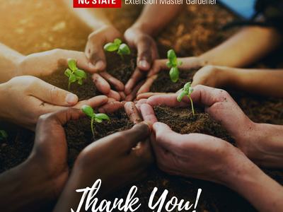 Six sets of hands holding seedlings