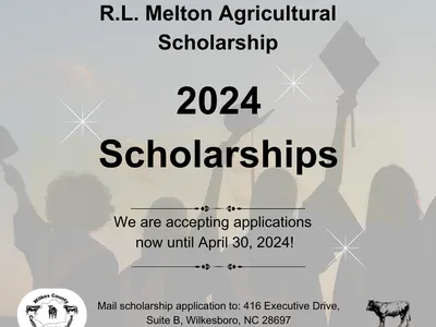 scholarships
