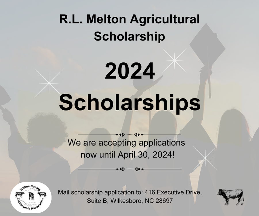 scholarships