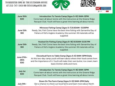 Greene County 4-H Summer Day Camps flyer listing camp names, dates, ages, and prices