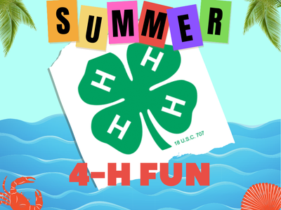 Summer 4-H Fun