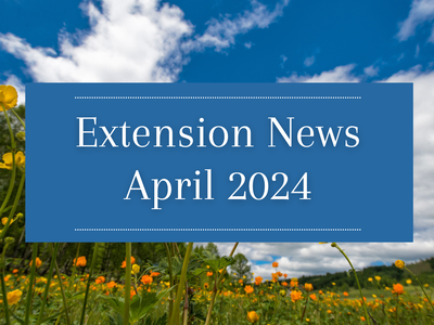 April 2024 Newsletter