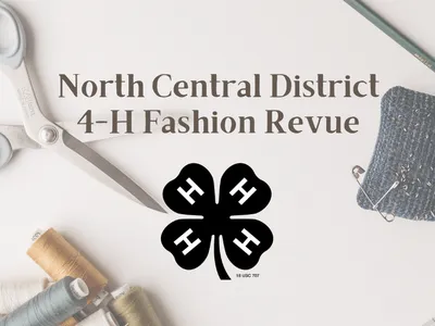 Fashion Revue