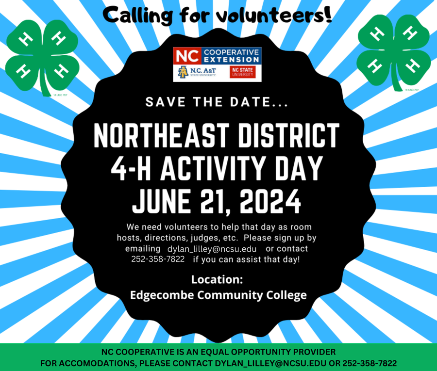 volunteer flyer