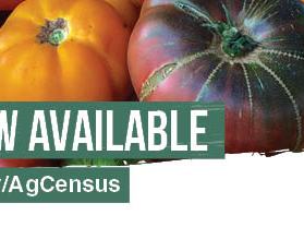 Heirloom tomatoes with text "DATA NOW AVAILABLE"; nass.usda.gov/AgCensus; 2022 Census of Agriculture