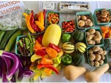 table full of colorful produce 