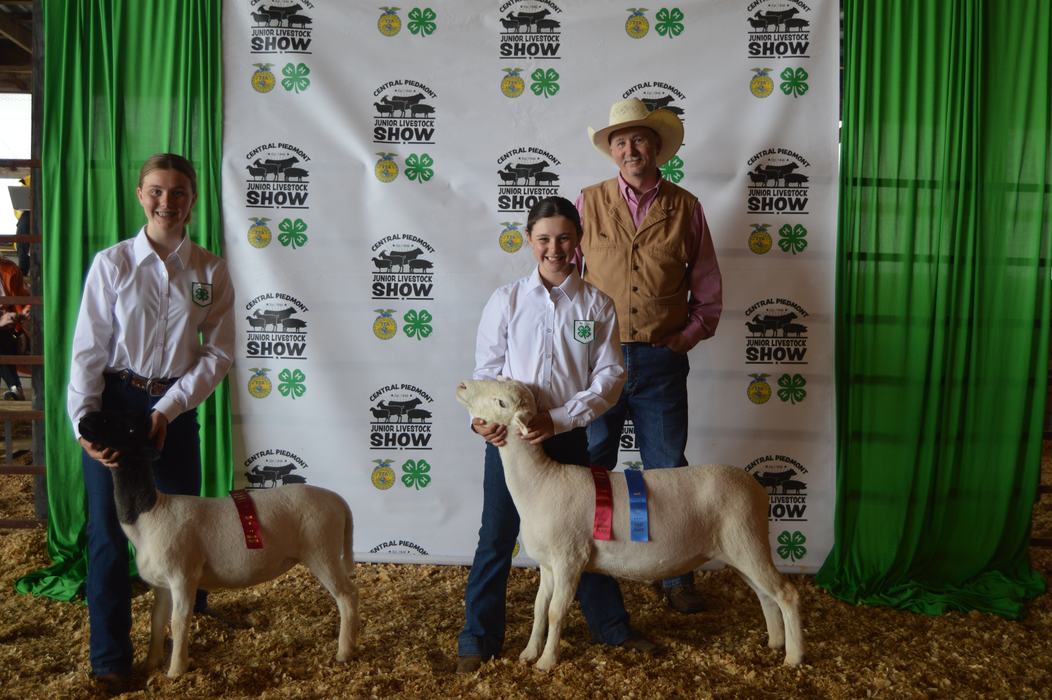 Girls showing sheep