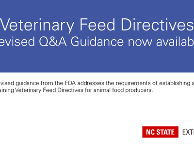 vfd revised q&a document released from fda banner image