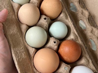 Farm fresh eggs