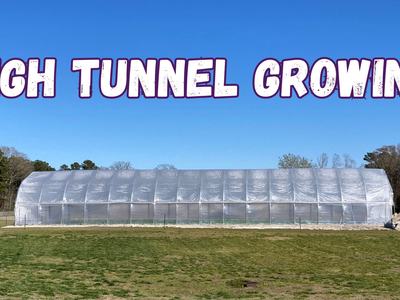 High tunnel on a lawn