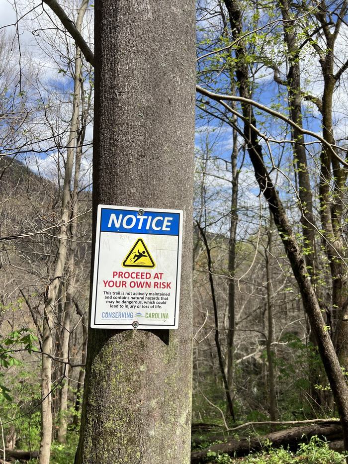 A Proceed at your own risk warning affixed to a tree.
