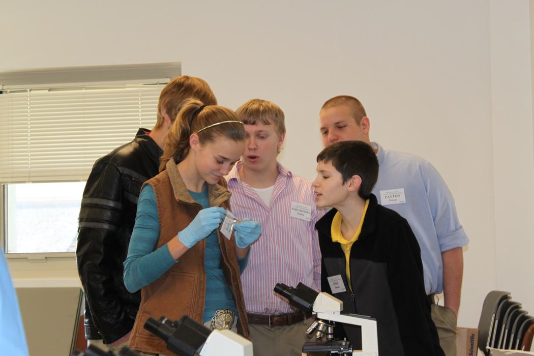 Students inspect an item.
