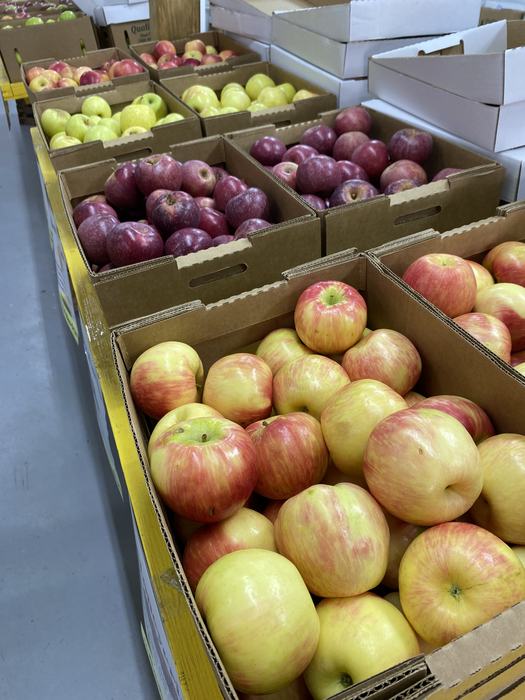 Different varieties of apples on display at an apple farm in Western NC