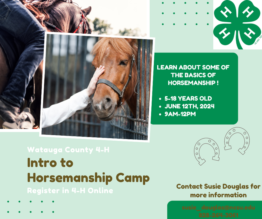 Intro to Horsemanship Camp Flyer