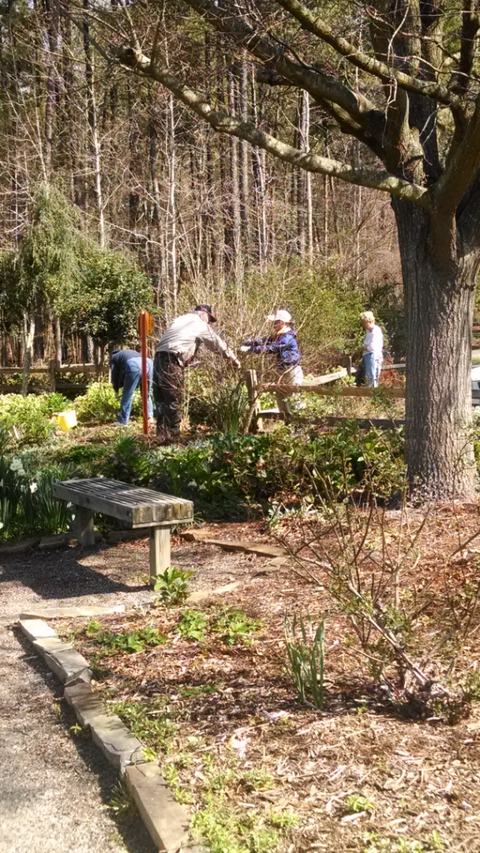 Four people gardening and trimming plants in a park area near a wooden bench