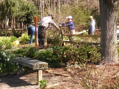 Four people gardening and trimming plants in a park area near a wooden bench