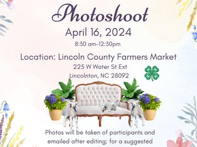 Lamb Photoshoot Flyer