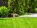Beautiful yard. Envy of the Neighborhood.