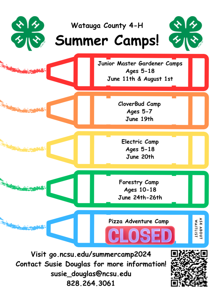 Summer Camp Flyer