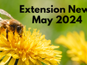 May 2024 Newsletter